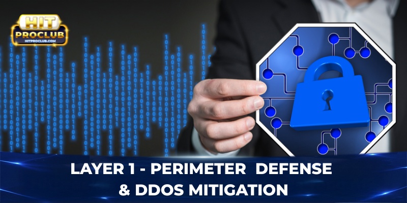 Layer 1 - Perimeter Defense & DDoS Mitigation