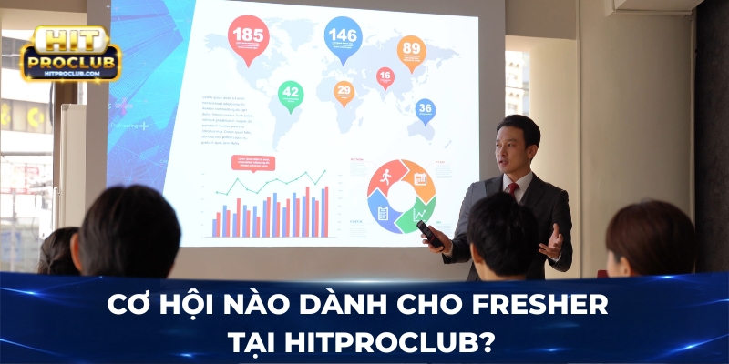 Cơ hội nào dành cho Fresher tại Hitproclub?