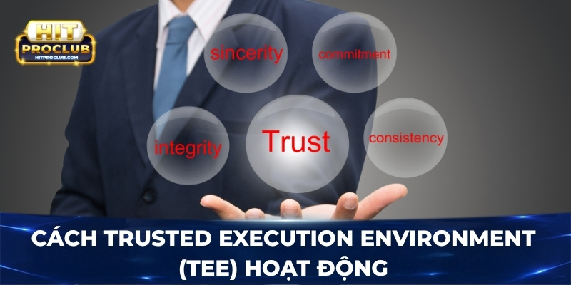 Cách Trusted Execution Environment (TEE) hoạt động