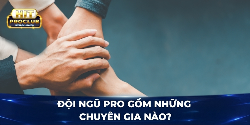 Đội ngũ PRO gồm những chuyên gia nào?