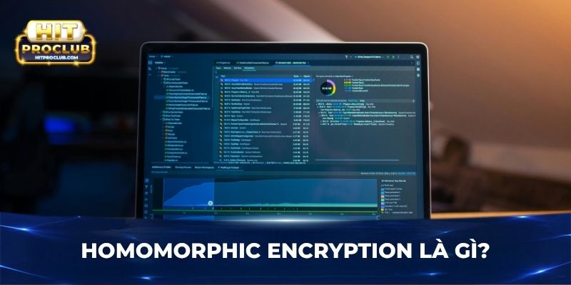 Homomorphic Encryption là gì?